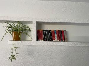 Biblioteka w apartamencie