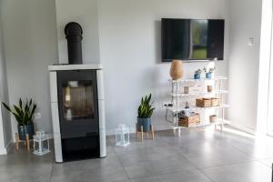 a living room with a fireplace and some plants at Siedlisko pod brzozami in Sasino