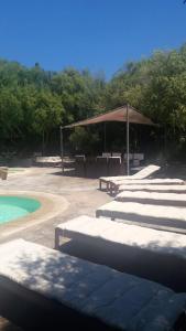 Der Swimmingpool an oder in der Nähe von Cozy Studio Porto Rotondo 35 m² + Pool