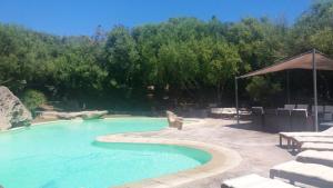 Der Swimmingpool an oder in der Nähe von Cozy Studio Porto Rotondo 35 m² + Pool
