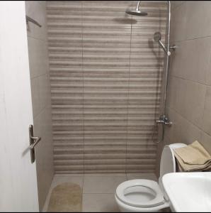 a bathroom with a shower with a toilet and a sink at Alexia Rooms in Káto Palaiokaryá