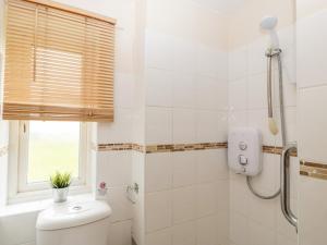 une salle de bain avec douche et toilettes et une fenêtre dans l'établissement Wellfield Cottage, à Highbridge