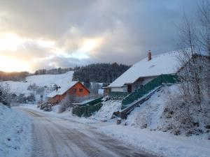 a snow covered road next to a house with snow covered roofs at Apartmány Fialka in Kašperské Hory