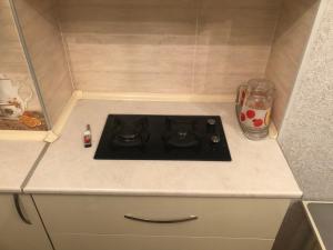 Kuchyň nebo kuchyňský kout v ubytování Guesthouse BATU