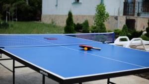 Stolní tenis v ubytování Villa Lata nebo okolí