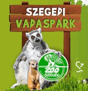 Kép Dóm square-Centrum-Free Parking szállásáról Szegeden a galériában