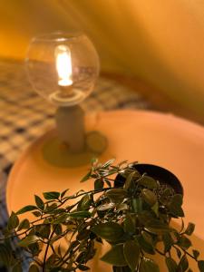 una candela e una pianta in vaso seduta su un tavolo di Tente Indiana Chênes - La Téouleyre a Saint-Julien-en-Born