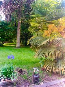 einen Garten mit Palmen und Pflanzen im Gras in der Unterkunft Villa SAINT CHRISTOPHE de FIRFOL in Firfol