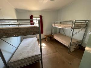 a room with three bunk beds and a window at Shearers Quarters - The Dutchmans Stern Conservation Park in Quorn
