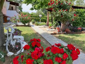 Gambar di galeri bagi Evgenia Maisonette di Ierissós