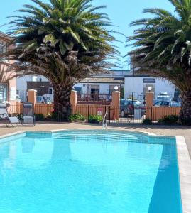 a large blue swimming pool with palm trees in the background at 24 New Esplanade Court in Paignton
