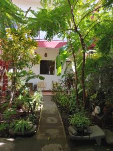 un jardin avec des arbres et des plantes devant un bâtiment dans l'établissement Museito de Carlos, à Granada