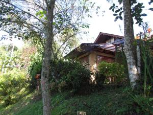 een huis op een heuvel met bomen ervoor bij Chalé Pakere Montanha Lumiar - Conforto a mais de 1000 metros de altitude junto a natureza, lareira, wifi, piscina, sauna e água de nascente in Lumiar