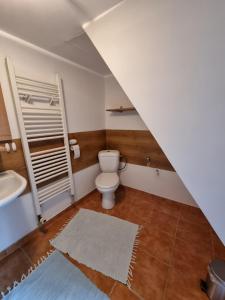 uma casa de banho com um WC e um lavatório em Apartmány Krásné zátiší em Krásno