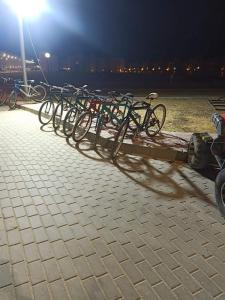 Una fila de bicicletas estacionadas en un muelle por la noche en Private chalte Palmera sokhna family en Ain Sokhna