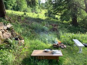 a picnic table and a fire in a field at B & B Maison Helise in La Croix-aux-Mines