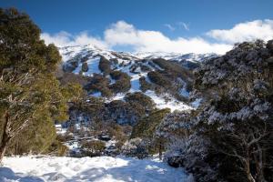 a mountain range with trees and snow covered mountains at Thredbo Alpine Hotel in Thredbo