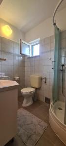een badkamer met een toilet, een wastafel en een douche bij Apartment Sea view in Vrboska