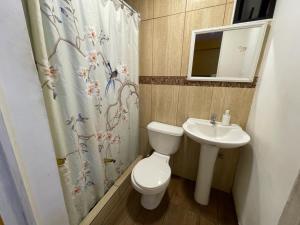 a bathroom with a toilet and a sink at Hostal Los Salares in Antofagasta