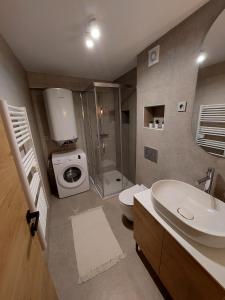 een badkamer met een wastafel, een toilet en een douche bij Casa Gray 2 in Koper