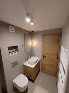 een badkamer met een toilet, een wastafel en een spiegel bij Casa Gray 2 in Koper