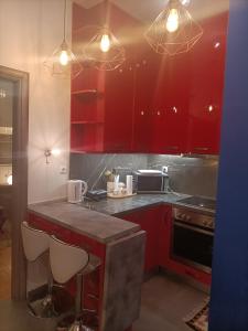 Kuchyňa alebo kuchynka v ubytovaní Elegant Apartment