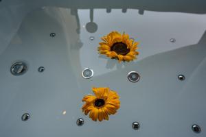 Fotografie z fotogalerie ubytování ארואד סוויטס Arwad suites v destinaci Madždal Šams