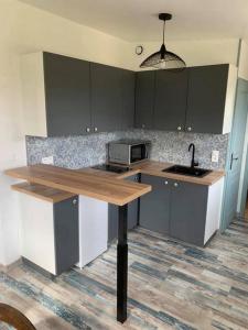 a kitchen with a counter with a sink and a microwave at La Grenouillère in Caussade