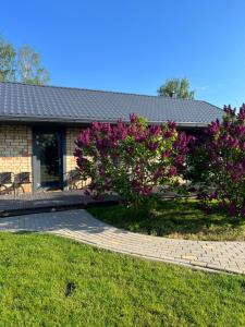 uma casa com uma árvore com flores roxas em frente em Guest house Kajaki-Ragaciems em Ragaciems