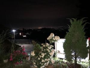 Fotografie z fotogalerie ubytování Nayagaun Village Resort v destinaci Nagarkot