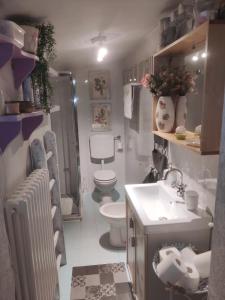 łazienka z białą umywalką i toaletą w obiekcie Piccola Casa Shabby 500m castello di Este w mieście Este