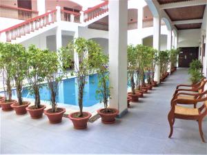 a row of potted trees on the floor of a building at The Killians Boutique Hotel in Cochin