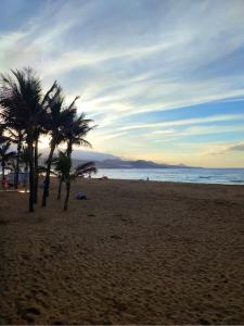 two palm trees on a beach near the ocean at Las Canteras Suite in Las Palmas de Gran Canaria