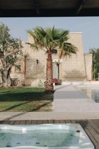 a large palm tree in front of a pool of water at Masseria Petrusella in Giuggianello