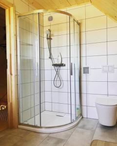a glass shower in a bathroom with a toilet at Chatka_Kasina in Kasina Wielka +23 photos