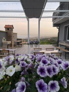 Φωτογραφία από το άλμπουμ του Affittacamere villa Antonio σε Aci Castello +200 φωτογραφίες