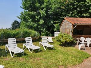 Zahrada ubytování Hotel garni Zwickau-Mosel
