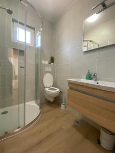 Apartments Iva في لوبار: حمام مع مرحاض ومغسلة ودش