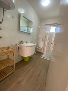Apartments Iva في لوبار: حمام مع حوض ودش ومرحاض