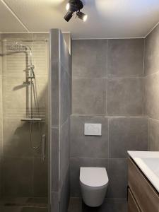 een badkamer met een douche, een toilet en een wastafel bij Puur Texels 6 in De Koog