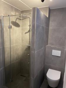 a bathroom with a shower and a toilet at Puur Texels 12 in De Koog