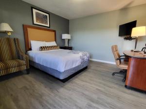 a bedroom with a bed, chair, desk and a lamp at Stardust Inn in Barstow