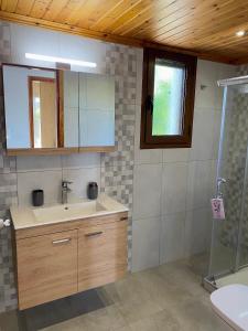 a bathroom with a sink and a shower at Casa di Vati in Vátion +12 photos