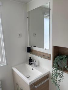 Un baño con un lavabo blanco y un espejo. en Dammhuis Zeeland, en Oostkapelle