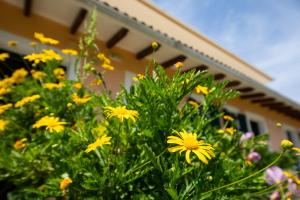 Gallery image of Gerasimo's Apartments in Marathias