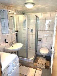 a bathroom with a shower and a sink and a toilet at Pool-Zimmer in Schnackenburg in Schnackenburg