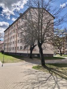 a tree in front of a large building at Smart Stay Apartment in Valmiera