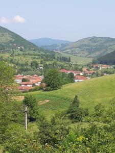 zielony wzgórze z wioską w oddali w obiekcie Casa Izbuc w mieście Izbuc