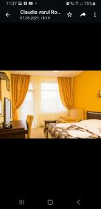 Billede fra billedgalleriet på Hotel Mont Blanc i Predeal