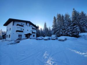 a building in the snow with cars parked next to it at Cabana Mullerhaus in Tău Bistra